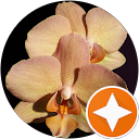 Tatiana Tarasova profile picture